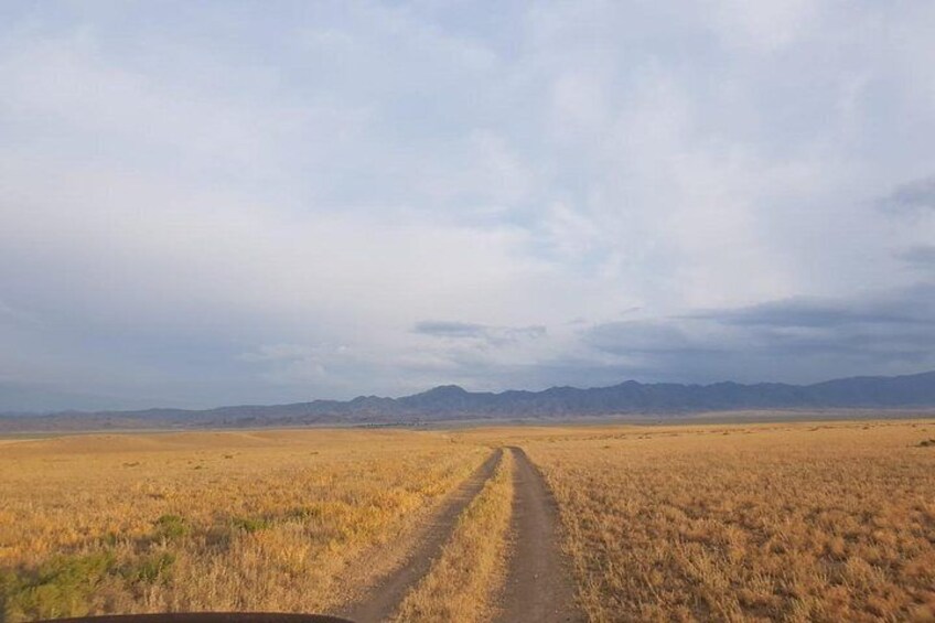 2 Days Private Tour in Kolsai, Kaindy lakes, and Charyn Canyon