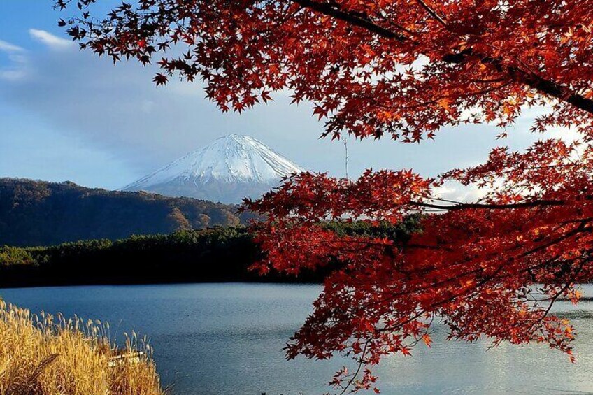 Full Day Mount Fuji Private Tour with English Speaking Guide