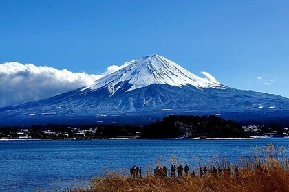 Full Day Mount Fuji Private Tour with English Speaking Guide