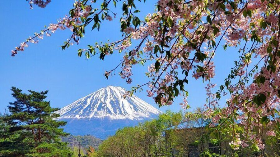 Guided Mount Fuji Private Tour GREEN NUMBER PLATES