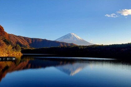 Full Day Mount Fuji Private Tour with English Speaking Guide