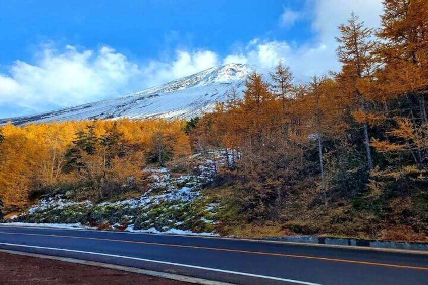 Mount Fuji Personalized Private Tour with English Speaking Guide