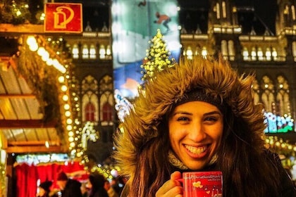 Vienna Christmas Market Tour with private local guide