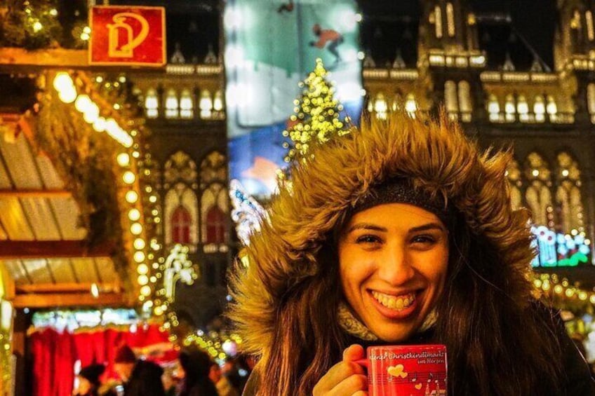 Vienna Christmas Market Tour