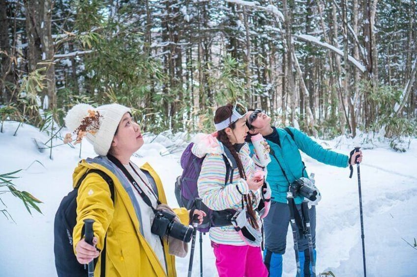 Snowshoe to Spectacular Winter Ice Caves in Hokkaido