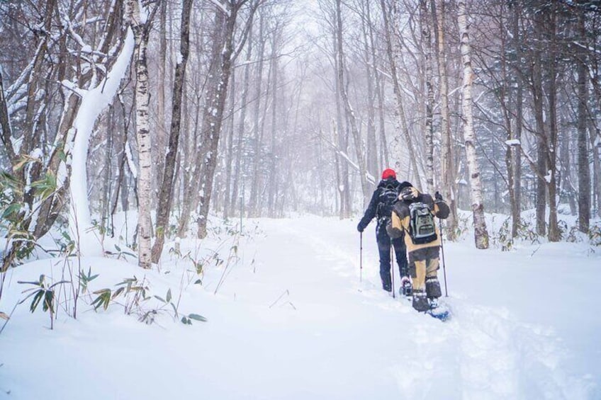 Snowshoe to Spectacular Winter Ice Caves in Hokkaido