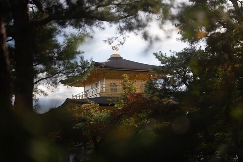 Kyoto Early Morning Tour with English Speaking Guide