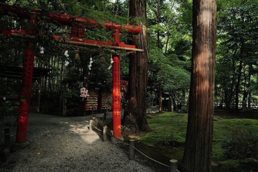 Kyoto Early Morning Tour with English-Speaking Guide