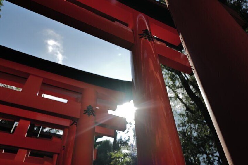 Kyoto Early Morning Tour with English Speaking Guide
