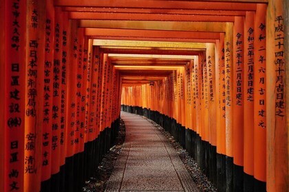 Visite matinale de Kyoto avec un guide anglophone