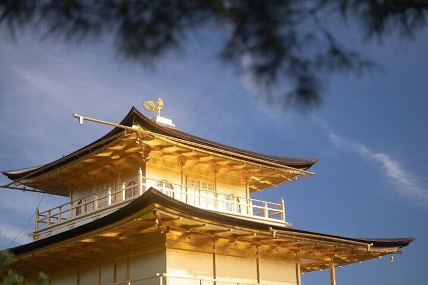 Kyoto Early Morning Tour with English Speaking Guide