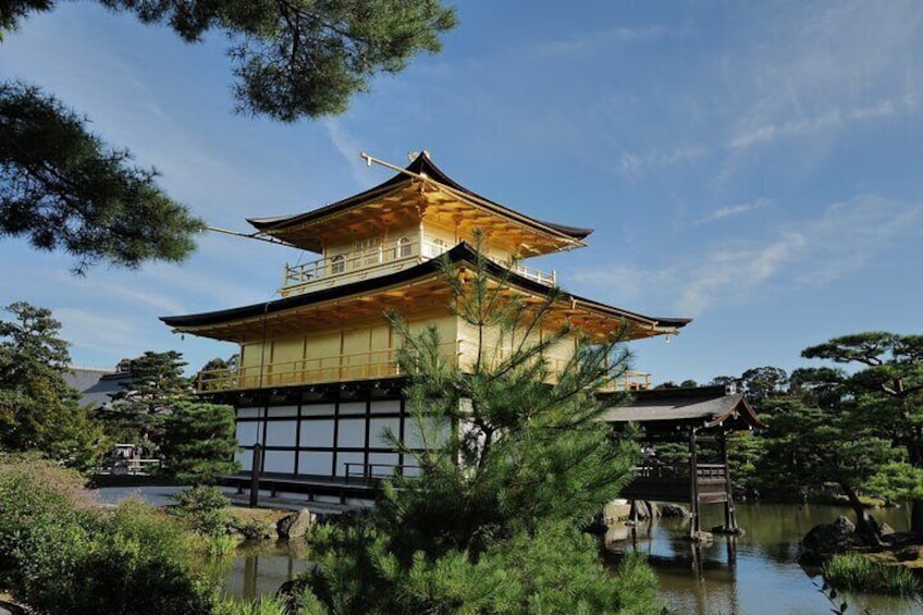 Kyoto Early Morning Tour with English Speaking Guide