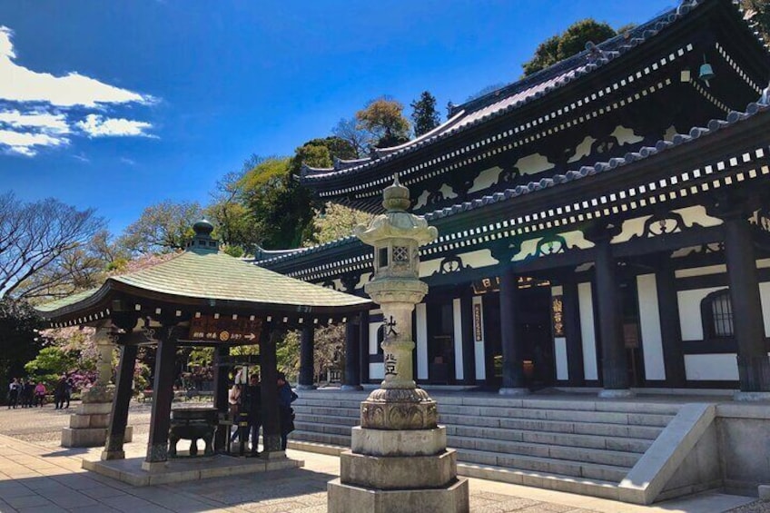 Full Day Private Discovering Tour in Kamakura