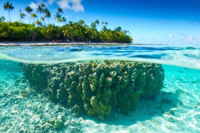 The Tetiaroa lagoon