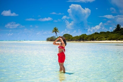 Excursion to Tetiaroa by Catamaran Visit Lunch Snorkelling