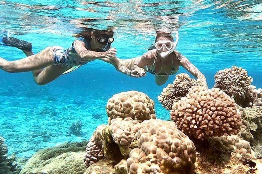 Snorkelling at Coral Garden