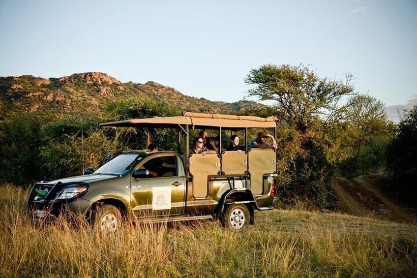 3-Hour Private Game Drive in Pilanesberg National Park