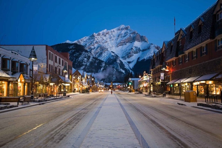Picture 1 for Activity [Winter]Banff, Johnston Canyon and Lake Louise Full Day Tour