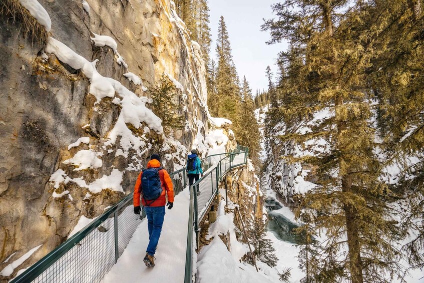 Picture 6 for Activity From Canmore/Banff: Moraine, Lake Louise & Johnston Canyon