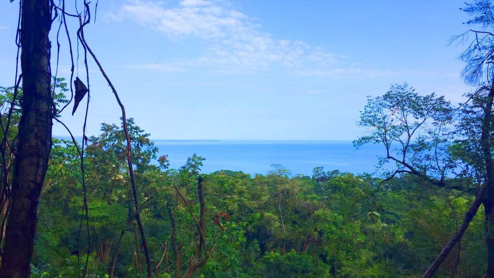 Jungle coast of Costa Rica