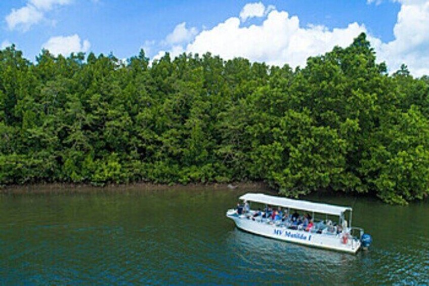 3 Days VIP- Reef, Skyrail, Rainforest & Cape Tribulation- Cairns