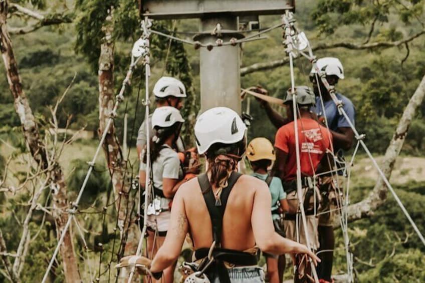 Monkey Jungle with Zip line