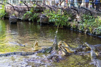 Mombasa: tour de un día de descubrimiento y parque Haller