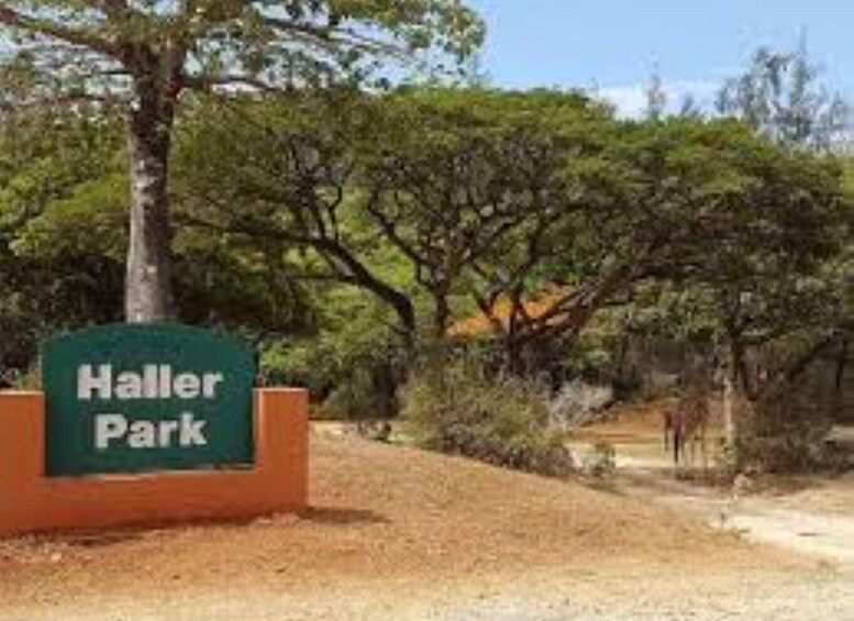 Picture 6 for Activity Mombasa: Discovery Day Tour and Haller Park