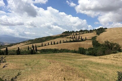 Tuscany private full day tour from Rome