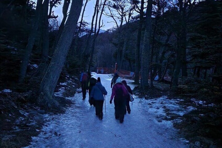 Trekking to the Martial Glacier at Night with Regional Tastings