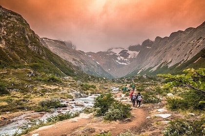 Trekking to the Martial Glacier at Night with Regional Tastings