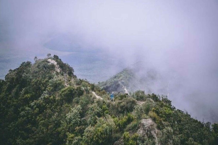 Picture 7 for Activity Day Tour To Mount Longonot Park From Nairobi