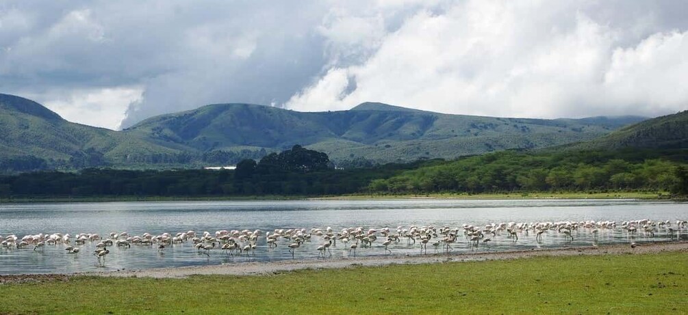 Picture 4 for Activity Day Tour To Mount Longonot Park From Nairobi