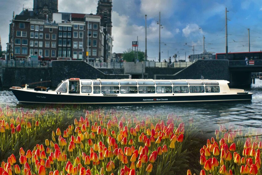 Amsterdam: Canal Cruise & Keukenhof Ticket with shuttlebus