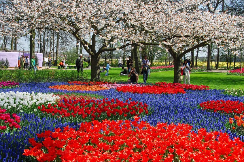 Picture 5 for Activity Amsterdam: Canal Cruise & Keukenhof Ticket with Transfer