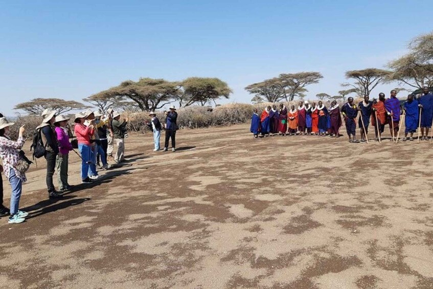 Picture 34 for Activity Day tour to Amboseli National Park