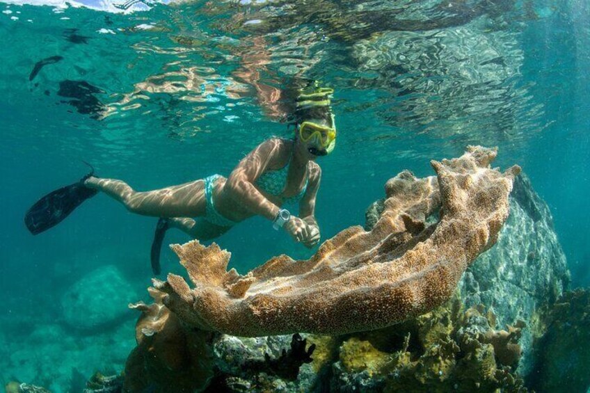 Frenchman's Reef Beach and Snorkel Sail to the St. John