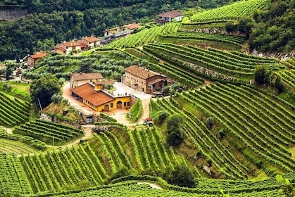 Private Valpolicella Wine Tour Experience from Verona
