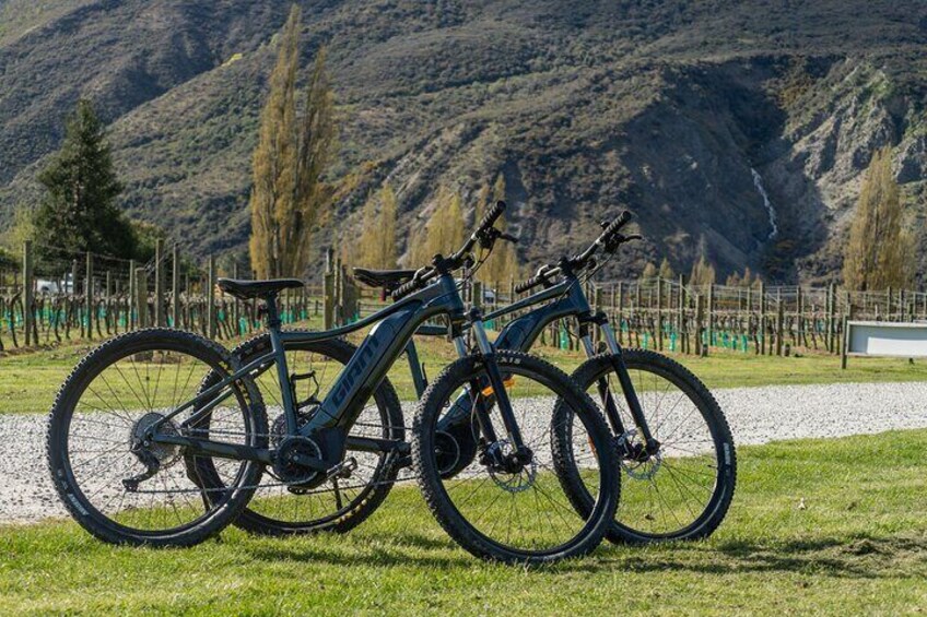 E-Bike Adventures Through the Wineries in Gibbston