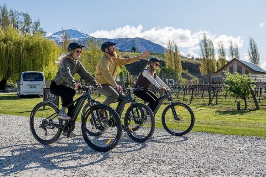 E-Bike Adventures Through the Wineries in Gibbston