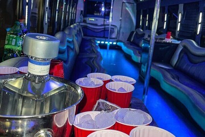 Miami Hip Hop Pool Tour with Party Bus Experience & open bar