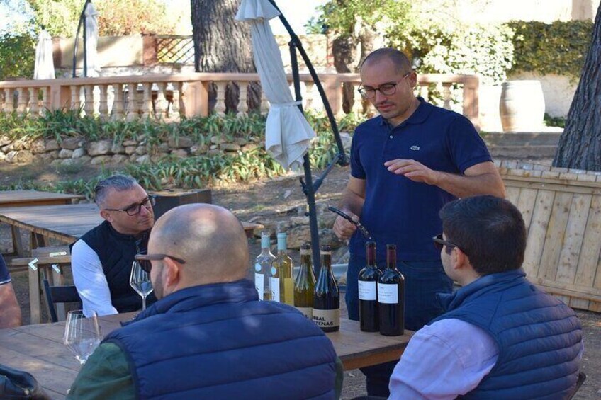 Cheese Factory Workshop with Wine Tasting in Requena, Valencia