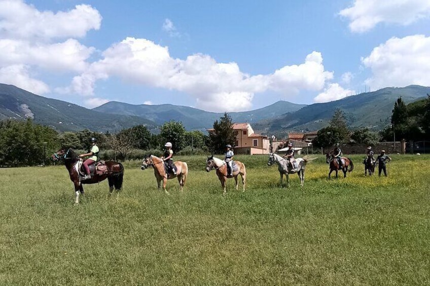 View of our wonderful Valgraziosa behind the Equestrian Centre