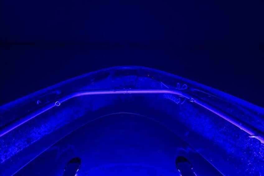 Clear Kayak Glow Tour Destin Ft. Walton Beach