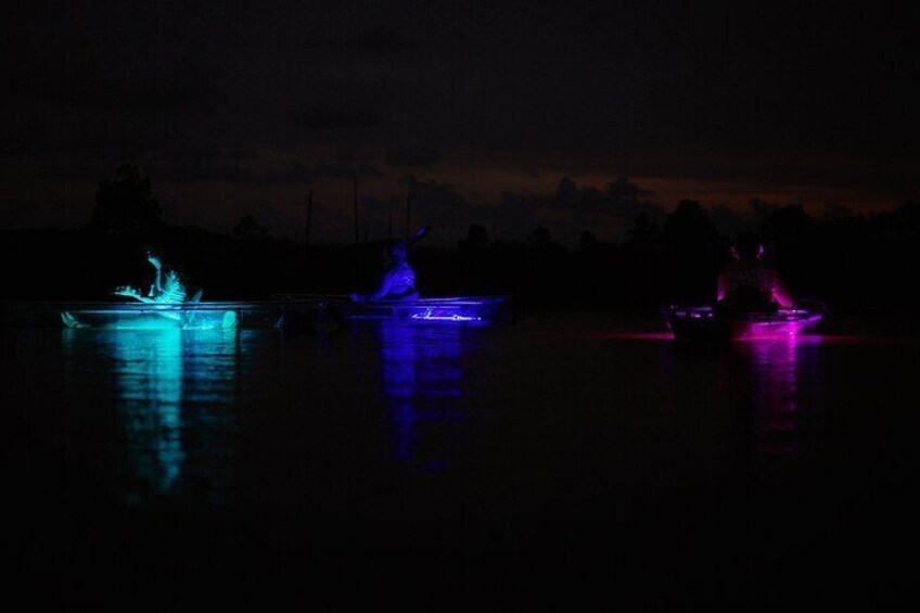 Clear Kayak Glow Tour Destin Ft. Walton Beach