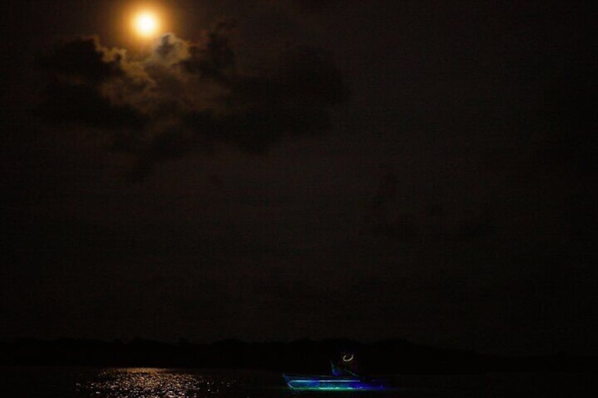 Clear Kayak Glow Tour Destin Ft. Walton Beach