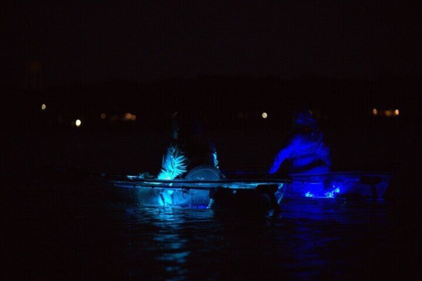 Clear Kayak Glow Tour Destin Ft. Walton Beach