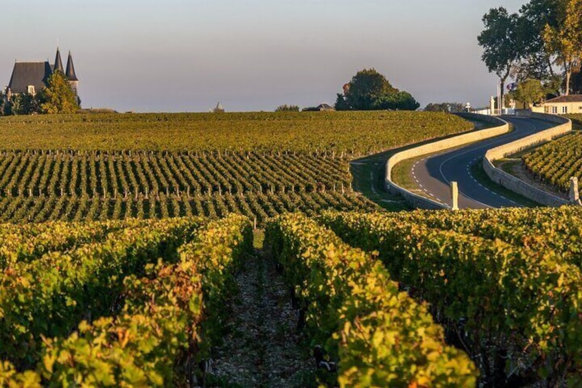 Private Médoc Region Wine Tour Experience from Bordeaux