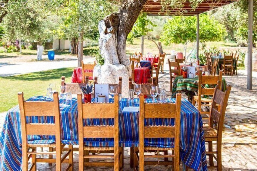 3 Hour Small Group Manousakis Winery Taste with Shuttle Service