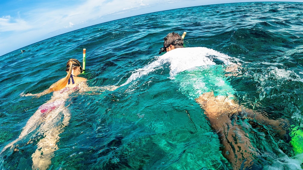 Turks and Caicos snorkeling activity 
